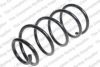 FORD 1711246 Coil Spring